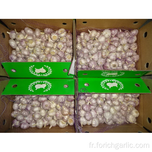 New Crop Fresh Garlic Jinxiang Haute Qualité